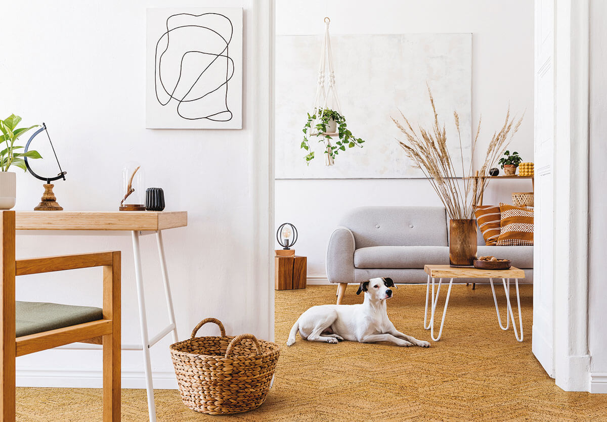 Wicanders Cork Flooring